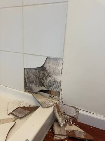 Tile delaminating from a failed shower wall