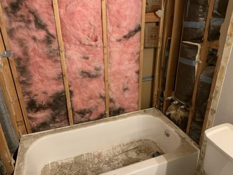 Mold found behind a tub wall during demolition in San Antonio